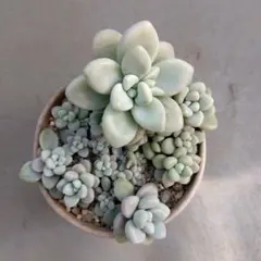 HH様 リクエスト 2点 まとめ商品