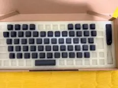 REALFORCE RC1 日本語配列 45g キーキャップ付 製品 : REALFORCE RC1 カラーキーキャップセット | REALFORCE