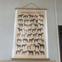 Horse Breeds of the World ポスター　馬