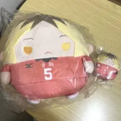 ハイキュー!! ぬいくじ　孤爪研磨　C賞&E賞セット
