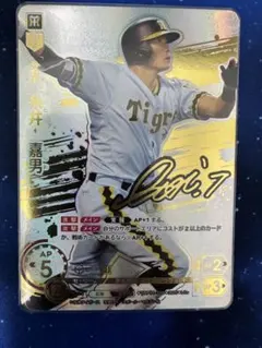 ドリームオーダー　LG+ 高橋由伸　勇壮の巨人 Amazon.co.jp: プロ野球カードゲーム DREAM ORDER 球団ブースター 読売
