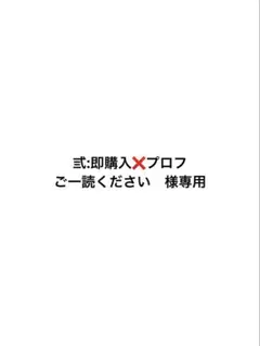 弎:即購入❌プロフご一読ください　様専用