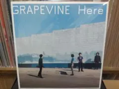 2026年最新】grapevine レコードの人気アイテム - メルカリ