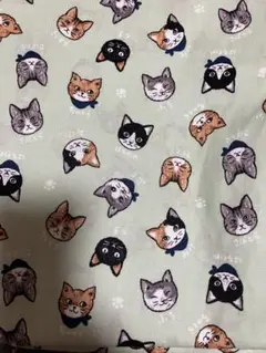 猫顔プリント 綿生地 薄緑色　オックス　24日迄の限定価格‼︎