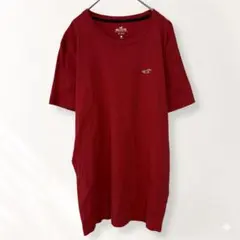 ホリスター 半袖カットソー Tシャツ 綿100％ カジュアル ラフ M《e80