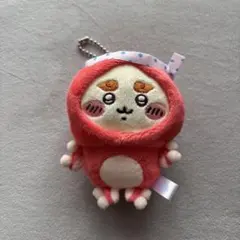 ちいかわ タコイカくじ D賞 シーサー ぬいぐるみ