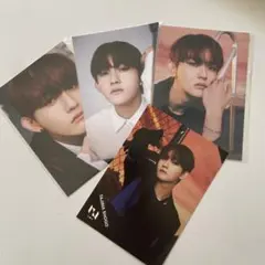 INI 田島将吾 生写真 ポストカード