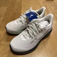 【ゆきち様専用】Mizuno ミズノ　ウェーブライダー28 26.0cm