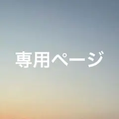 専用ページ