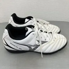ミズノ モナルシーダネオ