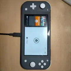Nintendo Switch Lite グレー 本体 ジャンク