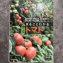2026年最新】トマト大事典の人気アイテム - メルカリ