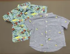 Item thumbnail for item 4f314f22-d330-42a9-aa87-19c9e6bbd410