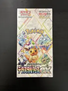 2026年最新】シュリンク テラスタルフェスの人気アイテム - メルカリ
