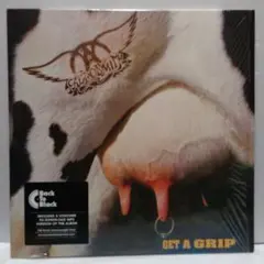 AEROSMITH / GET A GRIP (180g重量盤2LP)