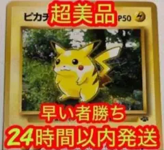 2026年最新】ジャングルピカチュウの人気アイテム - メルカリ