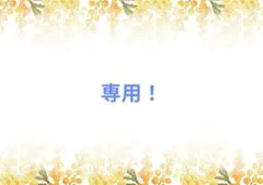 専用❗️
