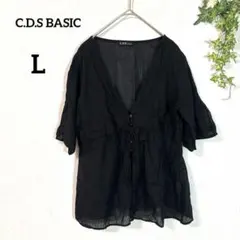 『C.D.S BASIC』 シアーブラウス　L　ストライプ　Vネック　透け感のサムネイル