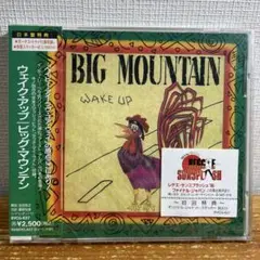 ビッグ・マウンテン/ウェイク・アップ