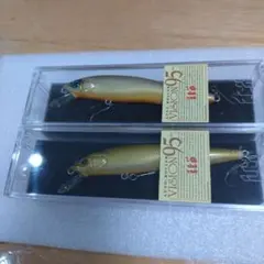 ビジョン95 2個セット