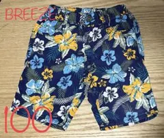 Item thumbnail for item 524ebc89-0af1-476d-af18-8a984a86bb69