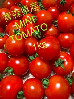 訳あり】朝どり完熟フルーツミニトマト 1kg - メルカリ