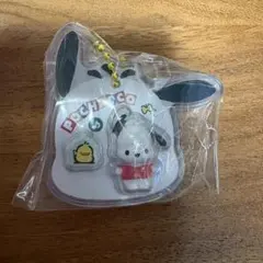 新品未使用　パッケージチャーム　ポチャッコ　サンリオキャラクターズ バンダイ