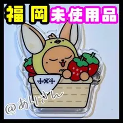 TXT ACT PROMISE 福岡 プルバトゥ アクリルバッジ ファンチュン