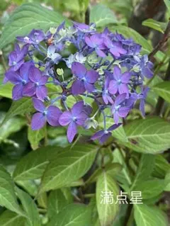 まるまま様 リクエスト 2点 まとめ商品