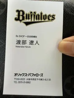 Buffaloes Bs SHOP 名刺 渡部遥人　オリックス