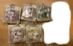 スヌーピー PEANUTS パッケージミニチュアコレクション ガチャ 5点セット