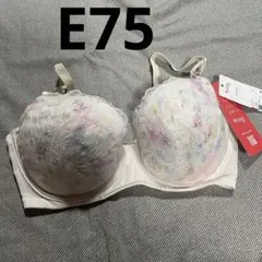 新品　ワコール　豪華レース　マッチミーブラ・ブラジャー「E75」