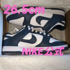 Nike Dunk Low Valerian Blue