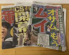 2025年10月13・14・15日スポニチ