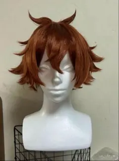 ツイステ エース コスプレウィッグ