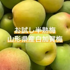 2キロ(ラスト3)山形県産半熟梅♡白加賀梅♡梅ジュース♡2キロのサムネイル