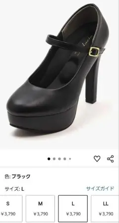 ブラックハイヒール Lサイズ