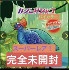 新品未開封　ジャングル&co. 　カンムリシャコ　バイカラー　スーパーレア