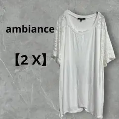 ambiance ホワイト トップス 2X レース袖