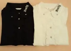 Item thumbnail for item 2248c7ca-49e7-497e-8ebf-fbecbfd7c0e9