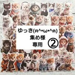 ゆっき(ฅ^•ω•^ฅ)集め様専用ページ②