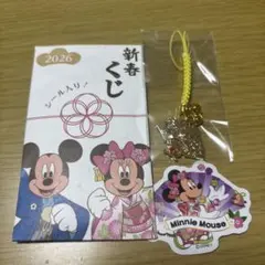 ディズニーストア 新春くじ 2026