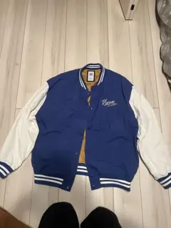 VISION STREET WEAR スタジャン LL 青/白