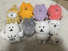 【最終値下げ】ナガノのくま　まとめ売り