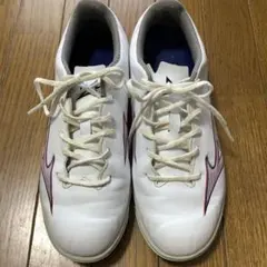 ミズノアルファ 24