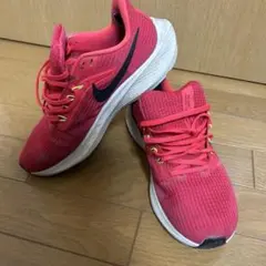 Item thumbnail for item b38f51d3-dbc5-4c32-b3e2-99c97974245f