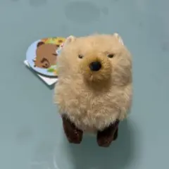 たぬぽんぽん　ぬいぐるみ マスコット　キーチェーン　ヤブ郎