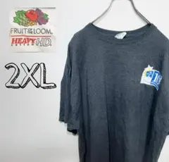 フルーツオブザルーム ネルシャツ