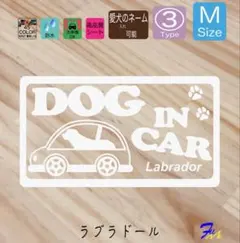 Item thumbnail for item 02e8c02d-aa3c-49b3-83ad-fe3b1b24074a