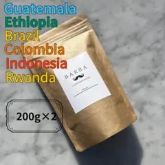 【お得セット】200g×2 自家焙煎 コーヒー豆 珈琲